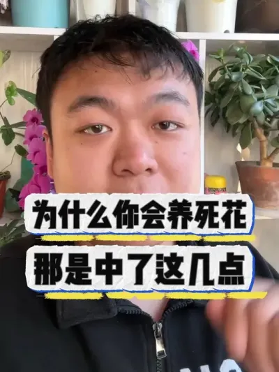 为啥你会养死花，那是中了这几点。 #养花 #养花小知识 #花卉 #花卉绿植 #盆栽