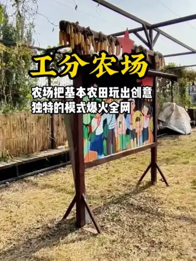 农庄基本农田也能玩出新花样，就是打造这种公分农场的模式，带给游客满满体验感#游云文旅 #规划设计 #乡村振兴 #农庄策划 #农庄运营