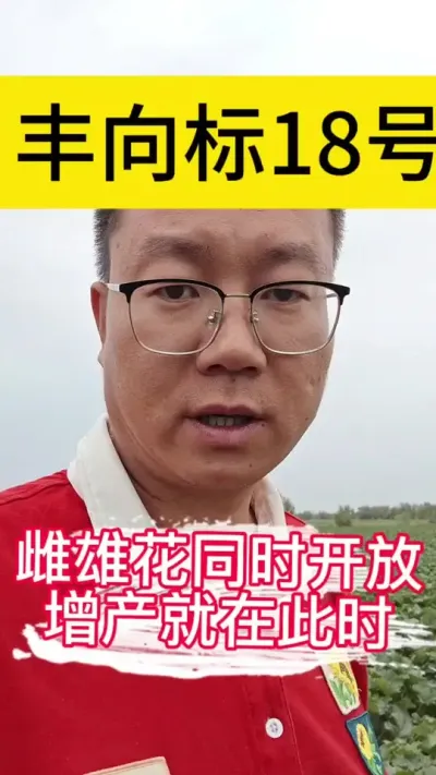 选择丰向标、年年收成好#丰向标