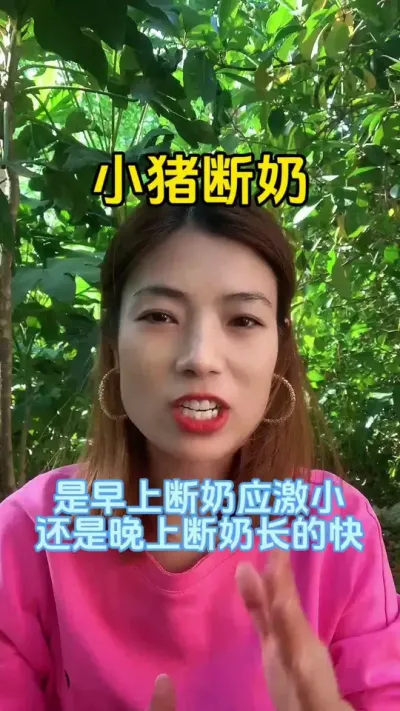 ##每天分享养殖技术和经验 ##服务三农支持三农 ##科学养猪 ##养殖人加油 ##关注我每天分享小常识