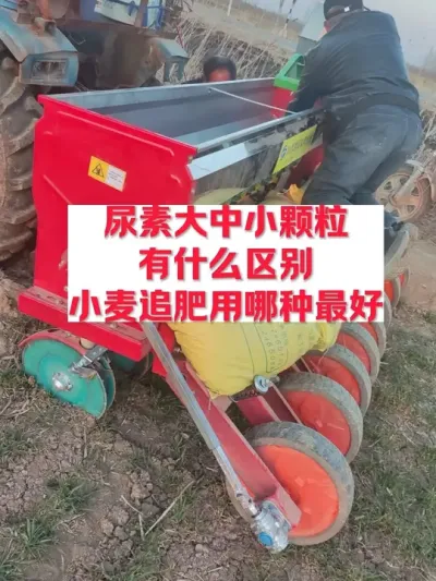 尿素是大颗粒好还是中颗粒好，小麦追肥选择哪种好 #支持三农扶持三农发展 #分享农业知识帮农民增产增收 #关注我每天为你分享更多农业知识
