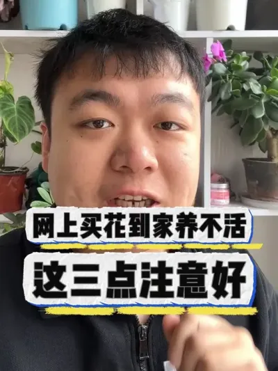 网上买花养不活，这三点没做对。 #养花 #养花小知识 #花卉#花卉绿植 #盆栽