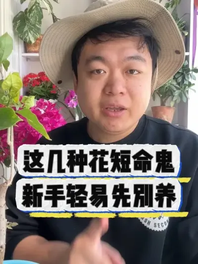 这几种花短命鬼， 新手轻易先别养。#养花 #养花小知识 #花卉绿植 #花卉 #盆栽