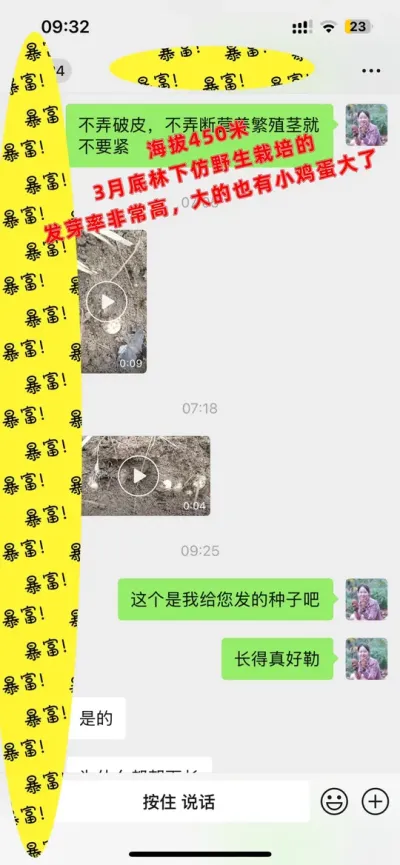 海拔450米林下仿野生栽培客户反馈。我们卖的不仅仅是天麻种子和蜜环菌还有我们后期的专业技术服务从购买我们的产品开始我们就已经变成了朋友，因为您的成功将是我们生意不断发展壮大的基础