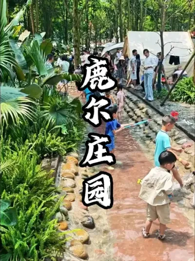 将废弃苗圃进行改造，成为亲子游乐天花板#游云文旅  #规划设计  #景区规划  #周二课堂