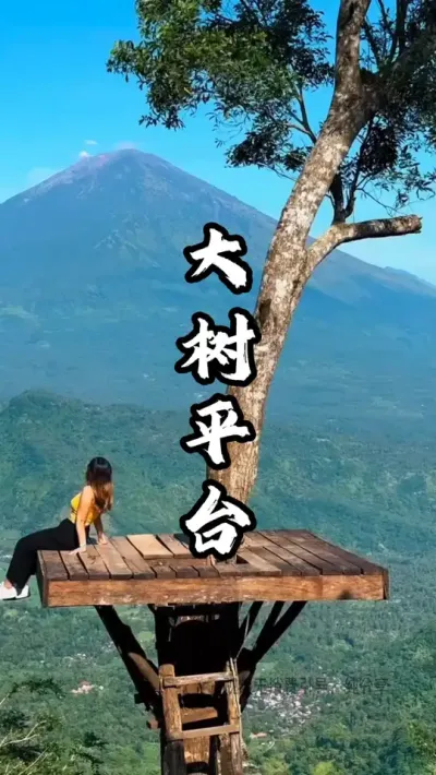 大树平台#游云文旅 #规划设计 #周二课堂 #农场规划