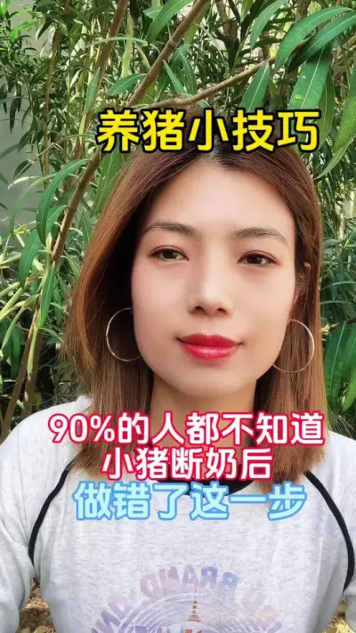 #服务三农支持三农 #养小猪 #所有养猪人 #每天分享养殖技术和经验 #科学养猪