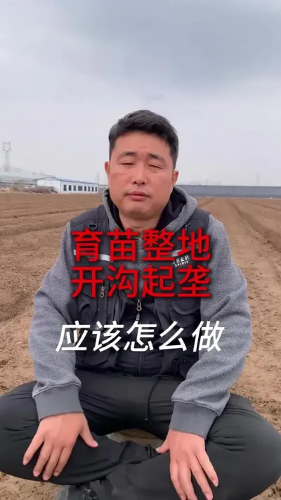 育苗整地开沟起垄可以这么做 #草莓种植 #三农种植 #草莓种植管理技术和方法 #育苗技术 #服务三农支持三农