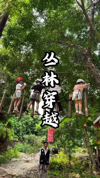 利用树林打造穿越游玩项目，一年内吸引十几万游客体验#游云文旅 #规划设计 #乡村振兴 #周二课堂