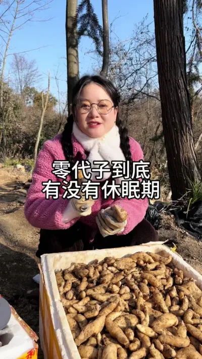 零代子到底有没有休眠期 #天麻种植 #农业技术推广 #技术分享 @抖音小助手