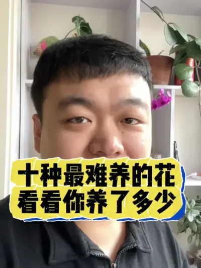 十种最难养的花，看看你养了几种。 #养花 #养花小知识 #花卉 #花卉绿植 #盆栽
