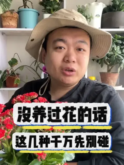 如果你没养火花，这几种花先别碰。 #养花小知识 #花卉 #盆栽 #养花 #花卉绿植