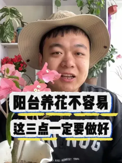 阳台养花不容易，这三点一定要做好。 #养花 #养花小知识 #花卉 #花卉绿植 #盆栽