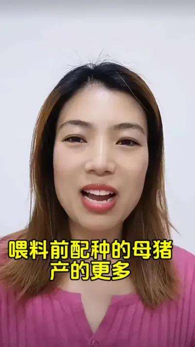 喂料前配种的母猪产的更多#三农养猪人 #自繁自养母猪 #每天分享养猪知识 #养猪人不容易