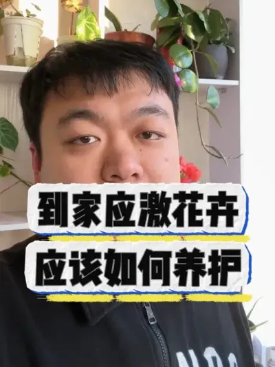 花卉刚买回家容易应激，应该如何处理。 #养花 #养花小知识 #花卉绿植 #花卉 #盆栽