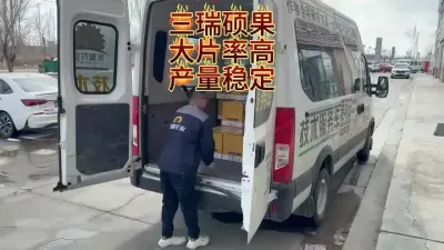 产量高，走货快#春耕进行时 #丰向标