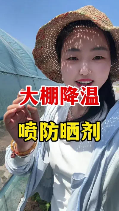 大棚降温赶紧喷施防晒剂#西红柿种植 #西红柿种植技术