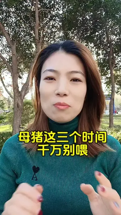 养母猪#养猪人 #每天分享养猪知识