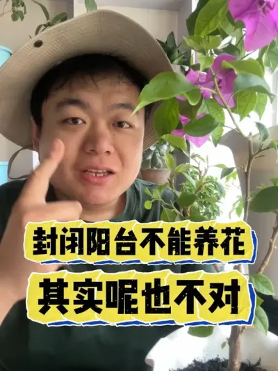 封闭阳台不能养花？其实也不对。 #养花 #养花小知识 #花卉 #花卉绿植 #盆栽