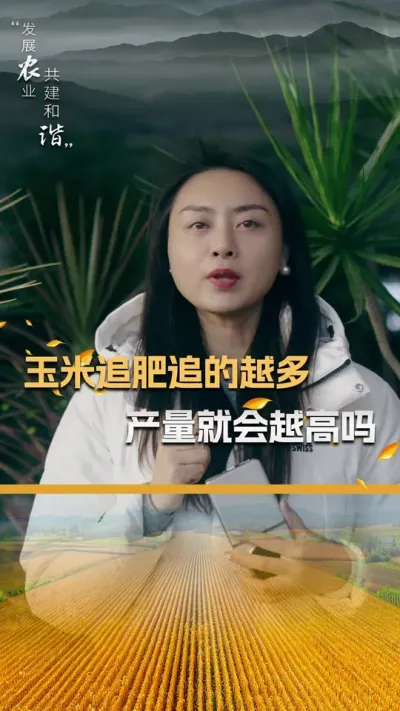 玉米追肥追的越多，产量就会越高吗？#玉米种植技术 #玉米种植 #玉米种子 #三农 #抖音新农人
