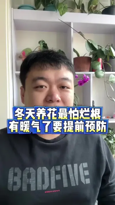 冬天暖气房养花最怕的就是烂根，看看如何预防。#养花小知识 #烂根 #养花 #花卉 #花卉绿植