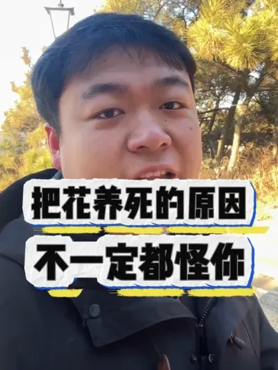 把花养死的原因，不一定都怪你。 #养花 #养花小知识 #花卉绿植 #花卉 #盆栽