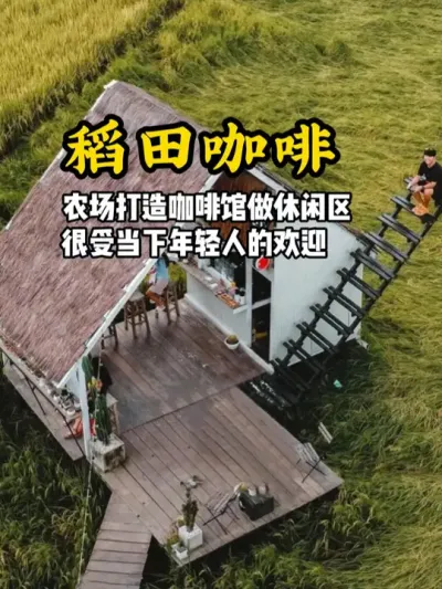 稻田咖啡 通过这农场稻田中打造咖啡馆作为休闲区，结果成为了很多年轻人喜欢的场景#游云文旅 #规划设计 #乡村振兴 #稻田咖啡 #农场设计