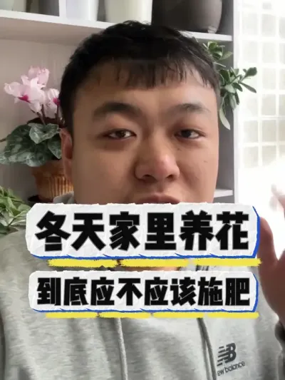 冬天家里养花，到底应不应该施肥。 #养花小知识 #花卉 #养花 #花卉绿植 #盆栽