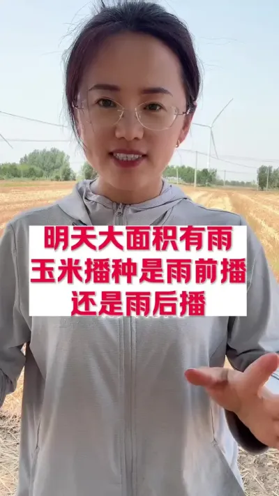 玉米播种是雨前还是雨后 #分享农业植保技术知识传播正能量 #分享农业知识帮农民增产增收