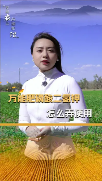 万能肥磷酸二氢钾应该如何使用#玉米种植 #玉米种植技术 #玉米种子 #三农 #抖音新农人