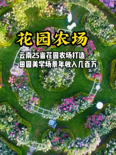 治愈花园农场 25亩花园农场打造，依靠田园美学场景，年营收达几百万#游云文旅 #规划设计 #乡村振兴 #农场设计