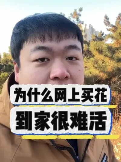 为什么网上买的花，到家很难活下来。 #养花小知识 #养花 #花卉 #花卉绿植 #盆栽