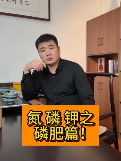 氮磷钾之磷肥篇 #新农人计划2024#种植小技巧 #三农种植 #农业人 #抖音支持三农扶持三农发展