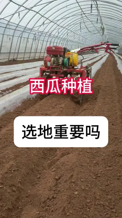 种植西瓜选地技巧。✨种西瓜选地很重要，今天这个视频就跟大家从土壤这个角度分享一下如何选地。 1️⃣测土壤的EC值看这块地的盐分含量高不高，水也要测一下。以往的经验，EC值在1以下就是很好的，如果在1-