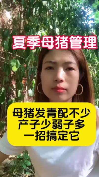 #养母猪技术 #母猪管理#夏季养母猪#母猪养殖技术 #母猪产仔