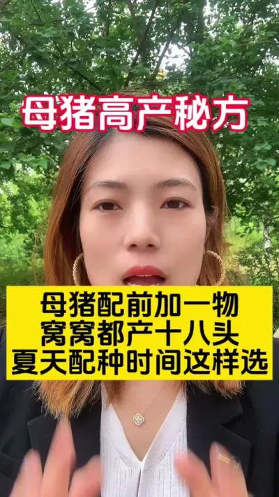 #养猪人 #三农养殖 #养猪专业户 #养猪技术服务