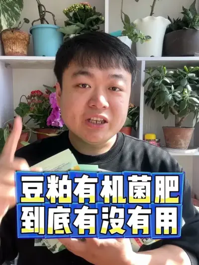 豆粕有机菌肥到底有没有用 作为底肥真的比蚯蚓粪羊粪好太多。#养花小知识 #养花 #花卉 #花卉绿植 #盆栽