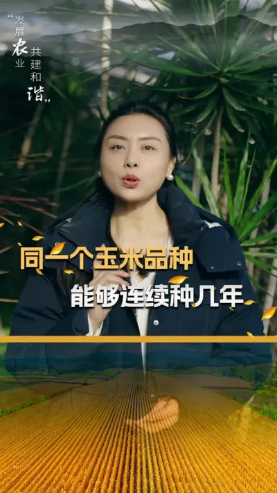同一个玉米品种，能够连续种几年#玉米种植 #玉米种植技术 #玉米种子 #三农 #抖音新农人
