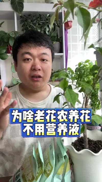 为啥老花农养花不用营养液，因为老花农知道养花先养根！ #养花 #养花小知识 #花卉 #花卉绿植 #盆栽