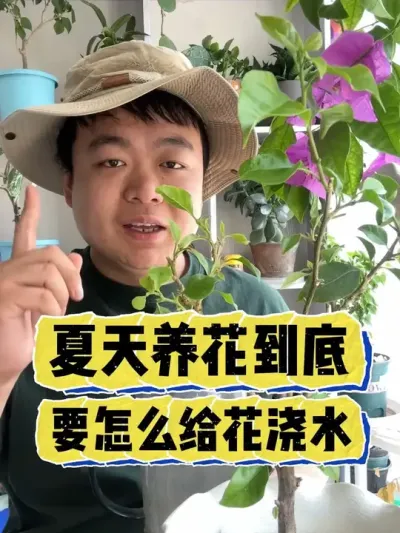 夏天养花到底要怎么给花浇水，今天一条视频看明白。 #养花 #养花小知识 #花卉 #花卉绿植 #盆栽