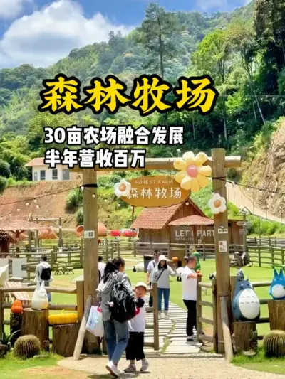 森林牧场 30亩农场结合萌宠项目，半年营收百万起#游云文旅 #规划设计 #乡村振兴 #农庄运营 #农场设计
