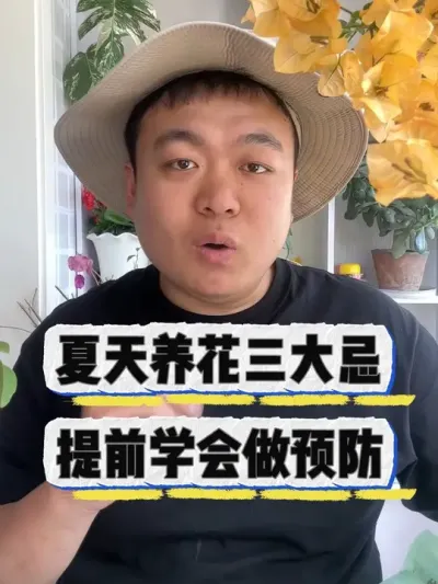 夏天养花三大忌，提前学会提前预防。 #养花 #养花小知识 #花卉 #花卉绿植 #盆栽