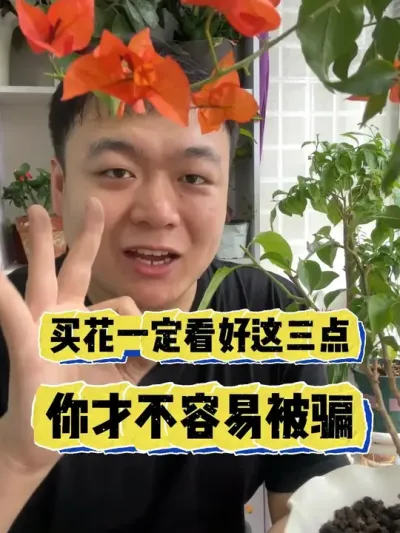 养花一定要这三点，不然你真的容易被骗。 #养花 #养花小知识 #花卉 #花卉绿植 #盆栽