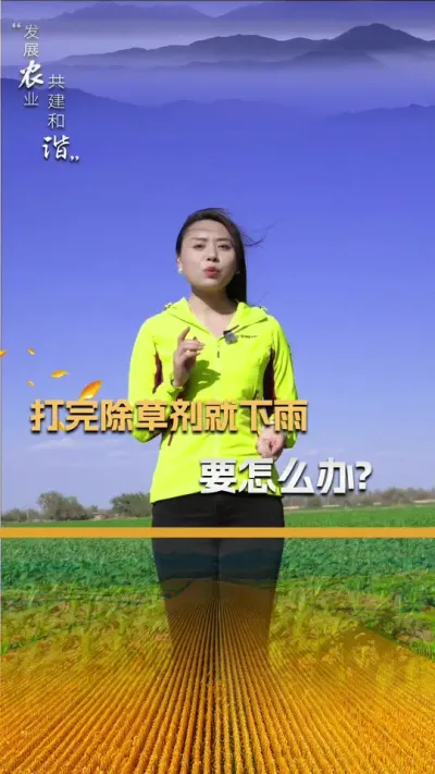打完除草剂就下雨，要怎么办？#玉米种植技术 #玉米种植 #玉米种子 #三农 #抖音新农人
