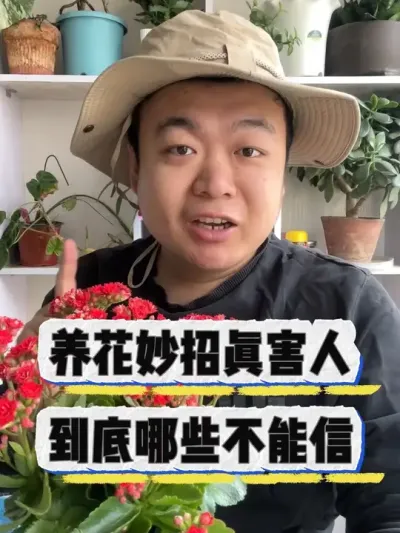 养花妙招真的害人，看看到底哪些不能信。 #养花小知识 #养花 #花卉 #花卉绿植 #盆栽