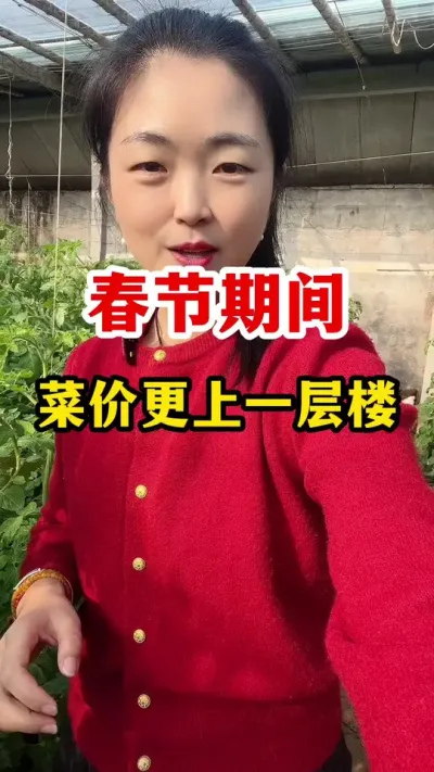 春节期间菜价会更上一层楼 #西红柿种植 #西红柿种植技术