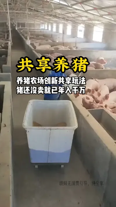 农场养殖新玩法，将养猪共享化，猪还没卖出去就年入千万#游云文旅 #规划设计 #乡村振兴 #农庄运营
