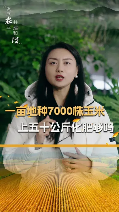 一亩地种7000株玉米上五十公斤化肥够吗？#玉米种植技术 #玉米种植 #玉米种子 #三农 #抖音新农人
