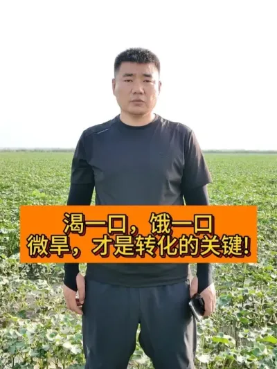 渴一口 饿一口 微旱才是转化关键 #新农人计划2025#新农人计划 #种植小技巧 #三农种植 #支持三农扶持三农发展