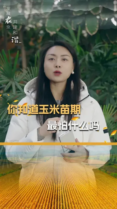 你知道玉米苗期最怕啥吗？#玉米种植 #玉米种植技术 #玉米种子 #三农 #抖音新农人